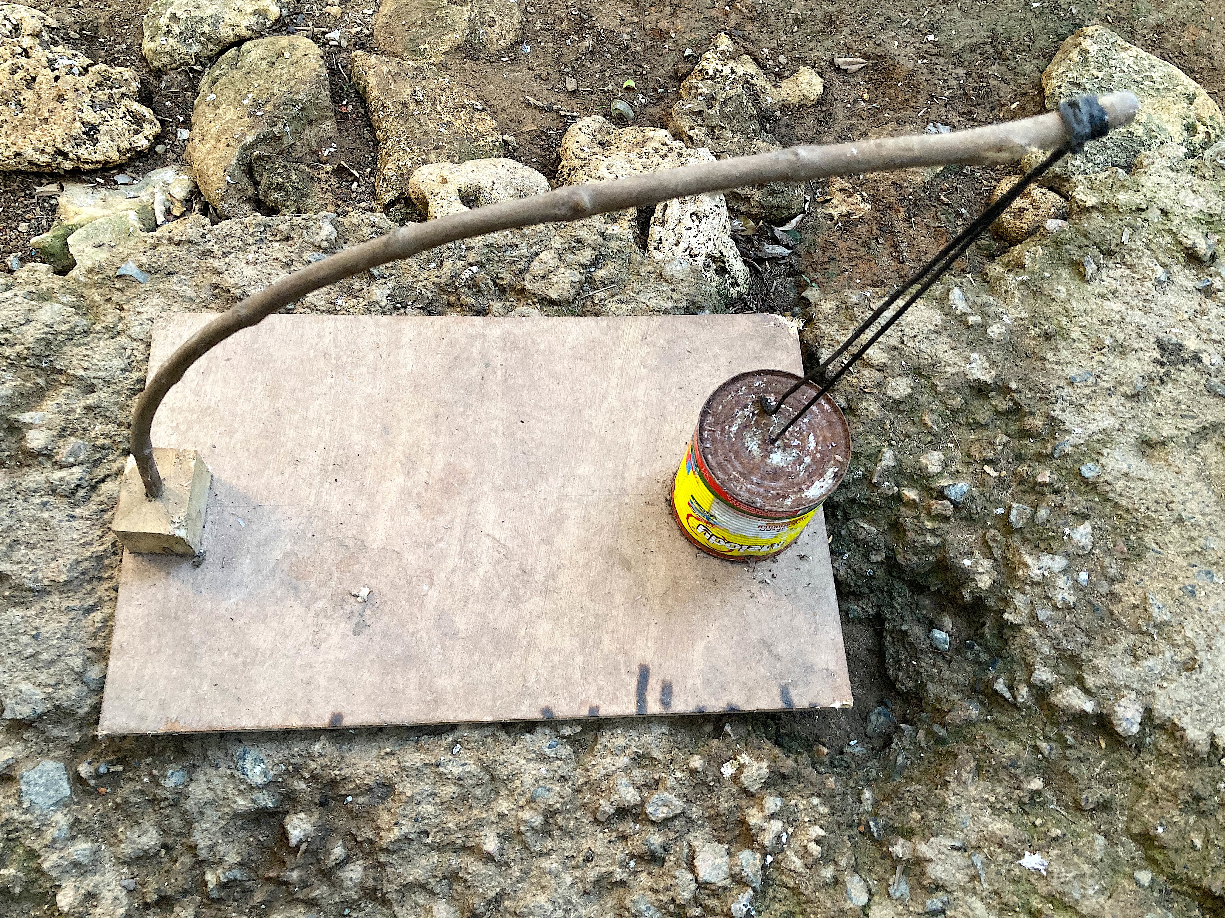 <i>Makalapo</i> unearthed, Mahé, 2025.