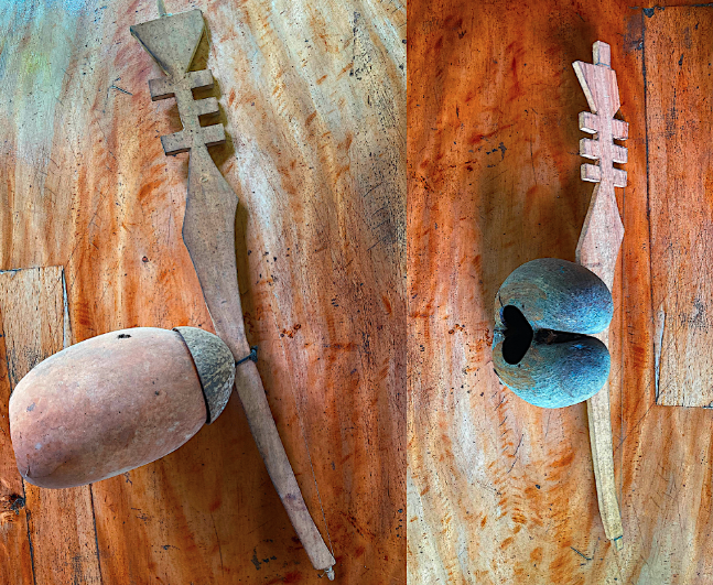 On the left, a <i>zez</i> with a resonator made from a calabash resting on a coconut soundar. On the right, the resonator is a coconut shell. These are two models, made by Steeve Esther in Praslin. 11/25.