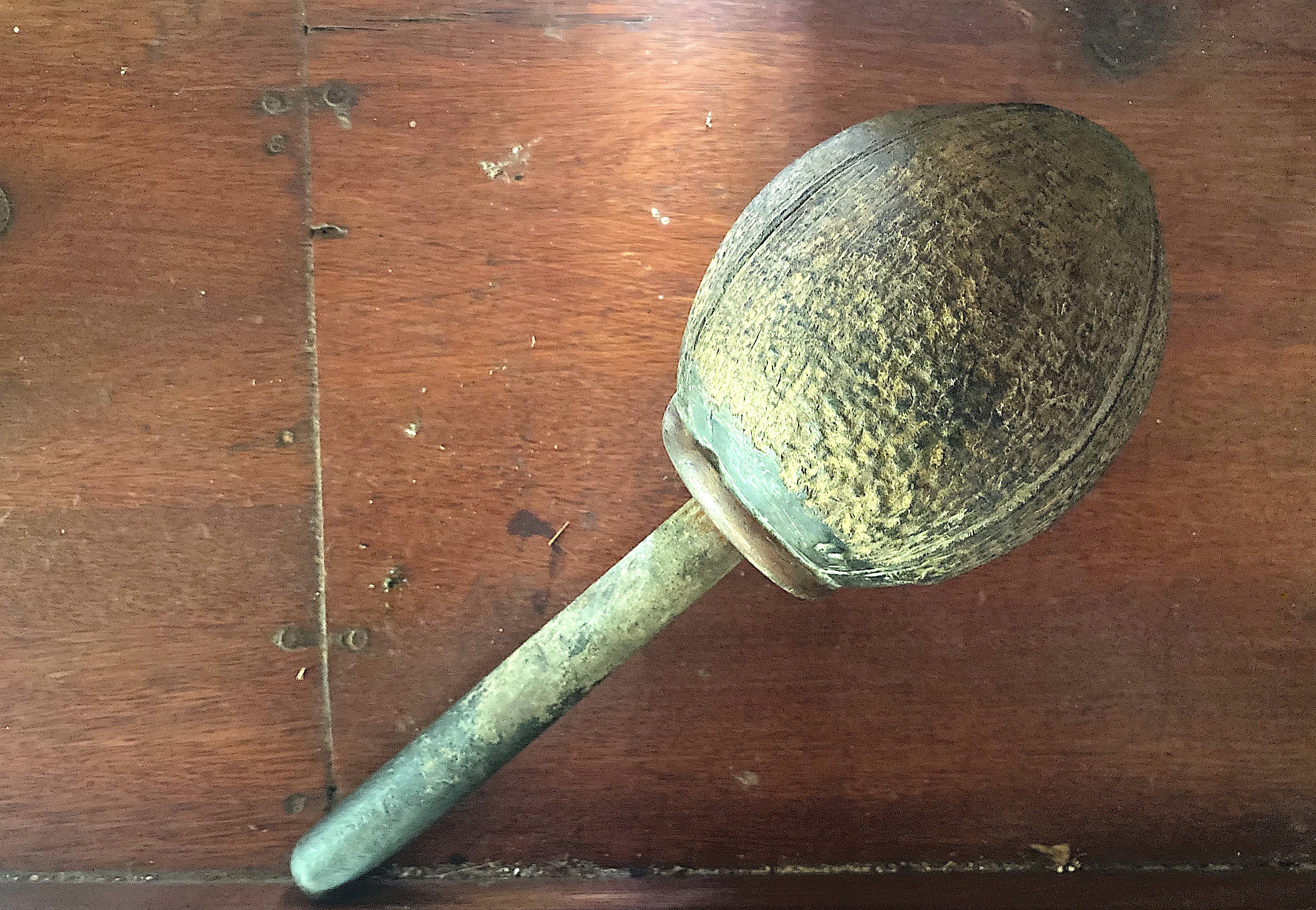 Rattle <i>koko</i>, Praslin, 11/25.