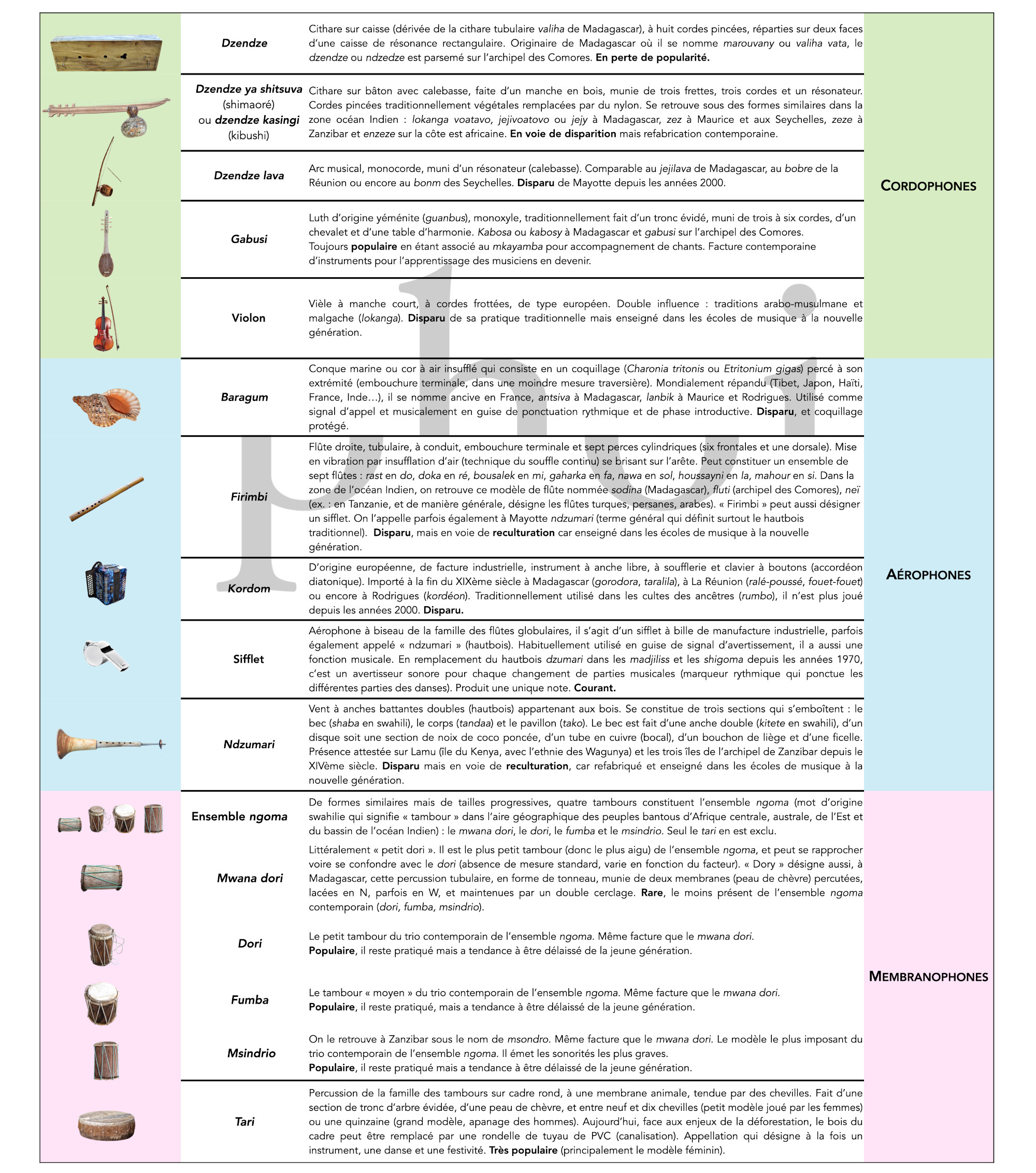 Inventaire et descriptif des instruments traditionnels de Mayotte recensés (cordophones, aérophones, membranophones).