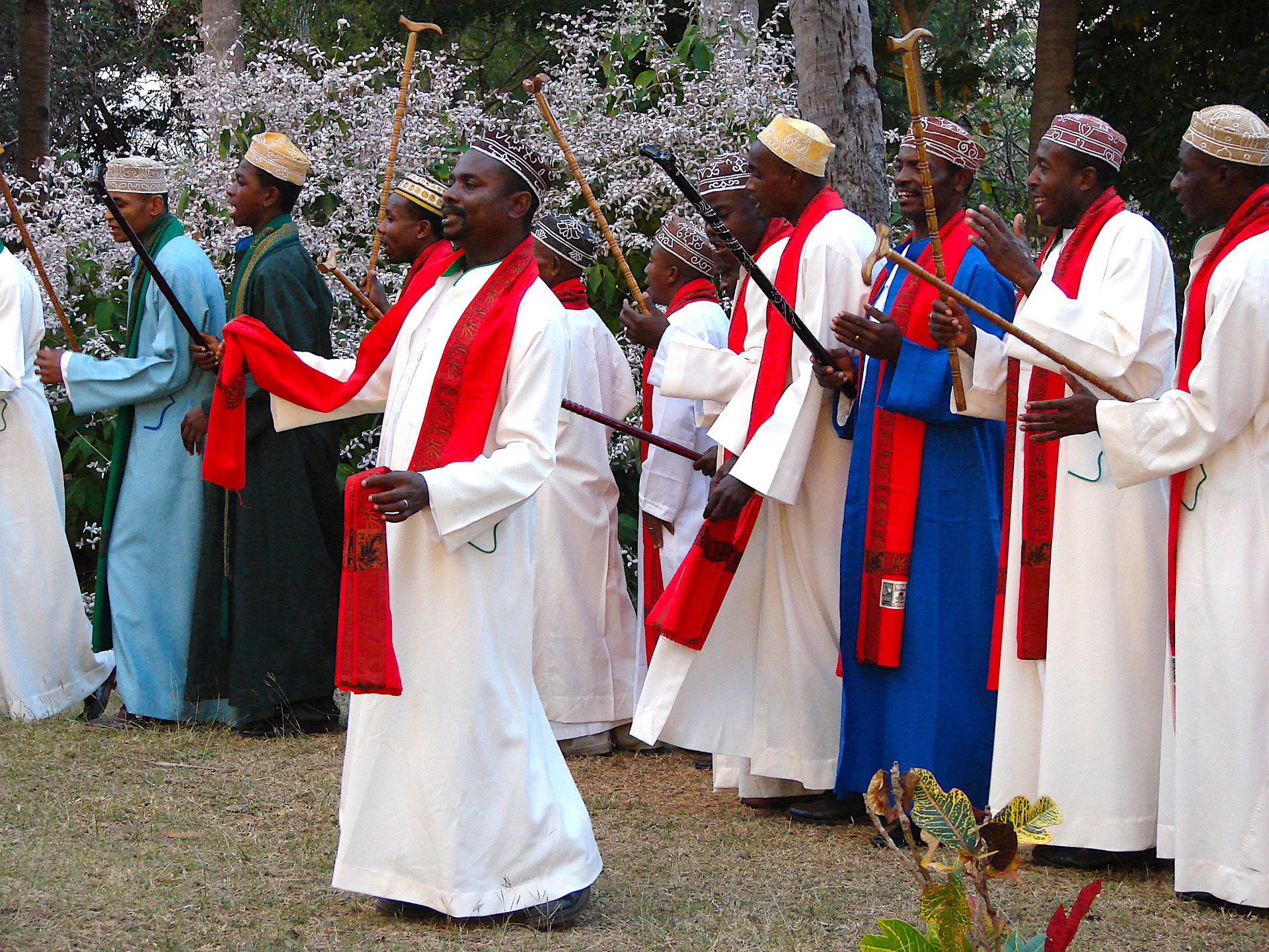 <i>Shigoma</i>, Petite-Terre, 2007, Fanie Précourt.