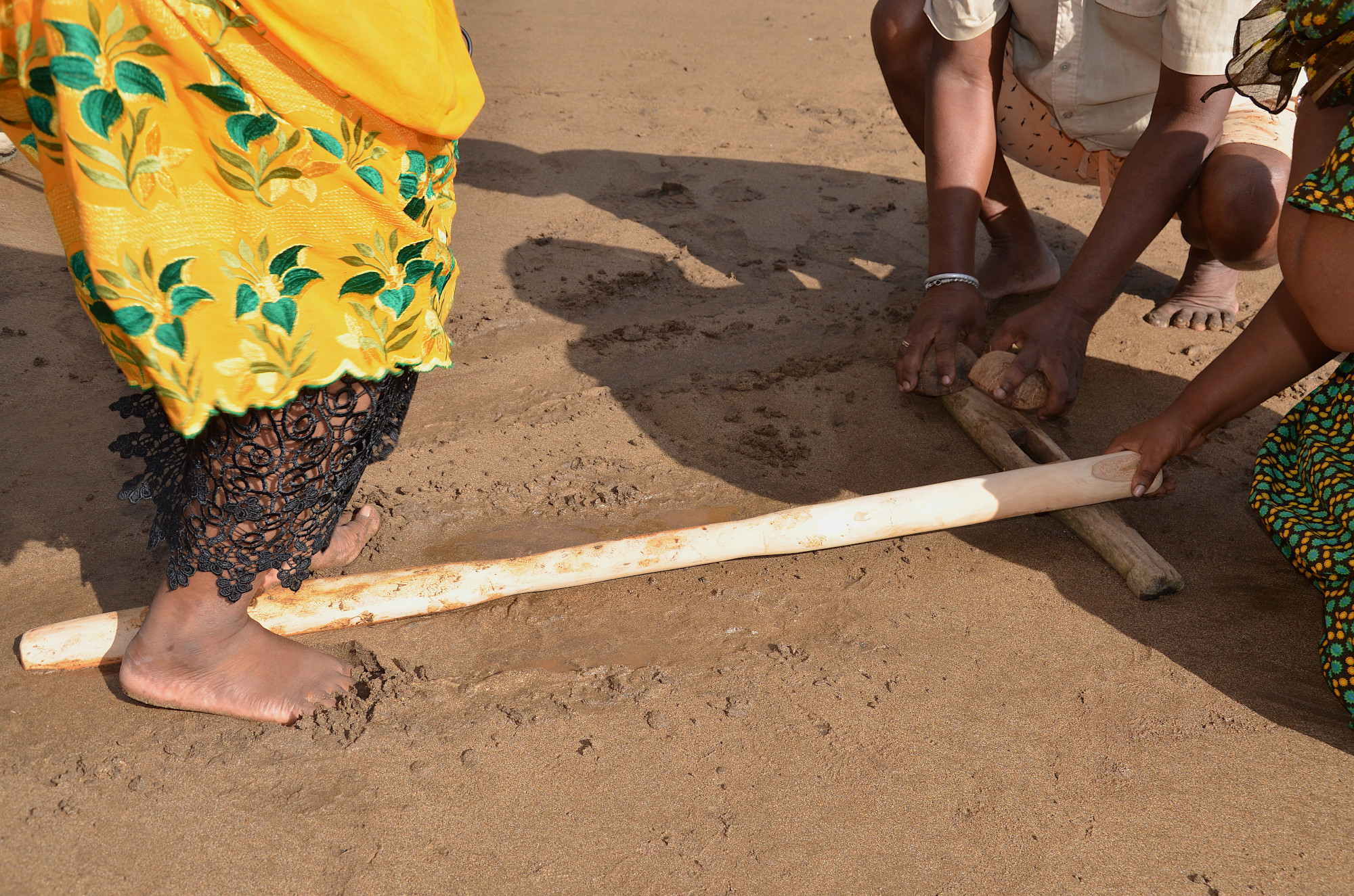 <i>Mwitsi</i>, Sohoa, août 2022, Photo F. Précourt.